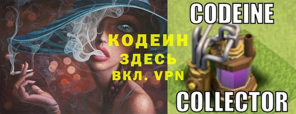 крисы Мегион