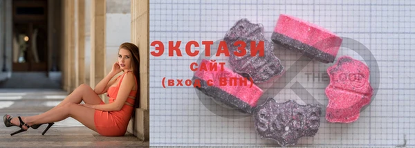 крисы Мегион