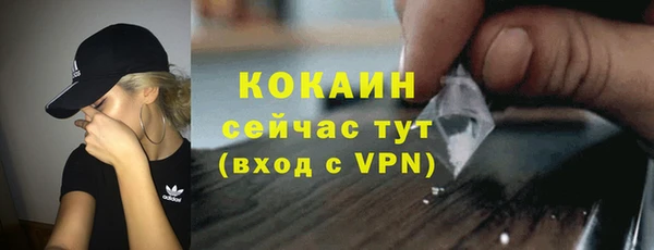 крисы Мегион