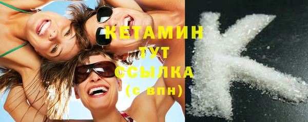 крисы Мегион