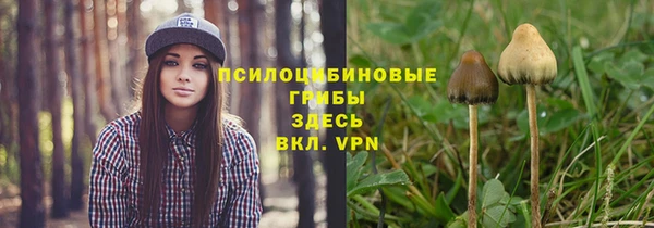крисы Мегион